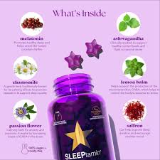 SLEEPTAMIN One Month Supply | Two Vegan Gummies at Bedtime