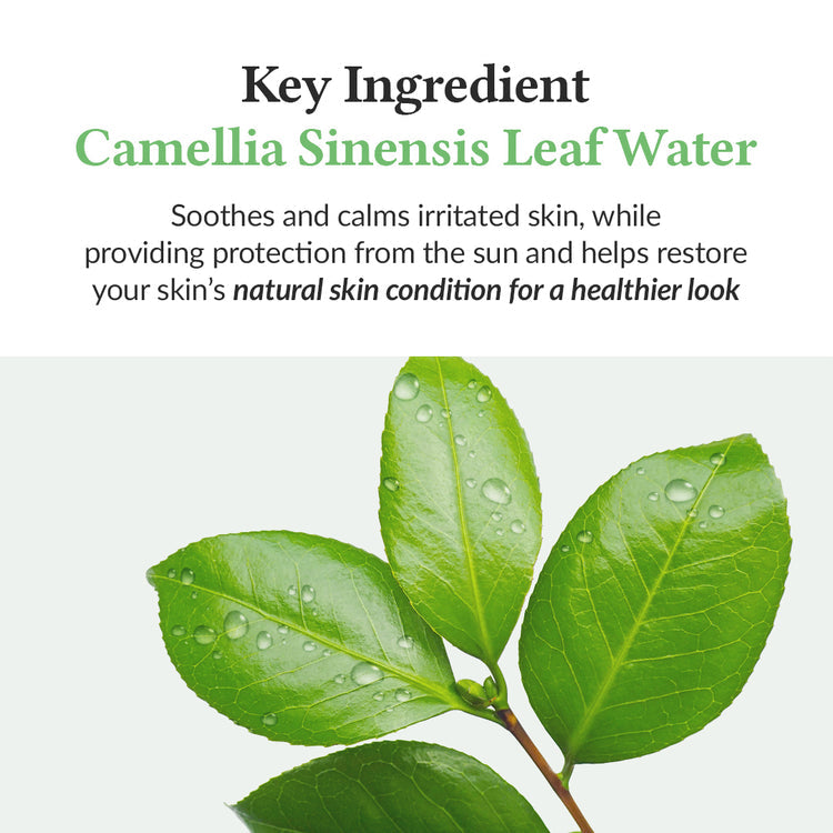 DR.ALTHEA  GREEN TEA FRESH SUNSCREEN