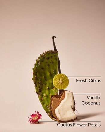BATH AND BODY WORKS CANDLE CACTUS BLOSSOM