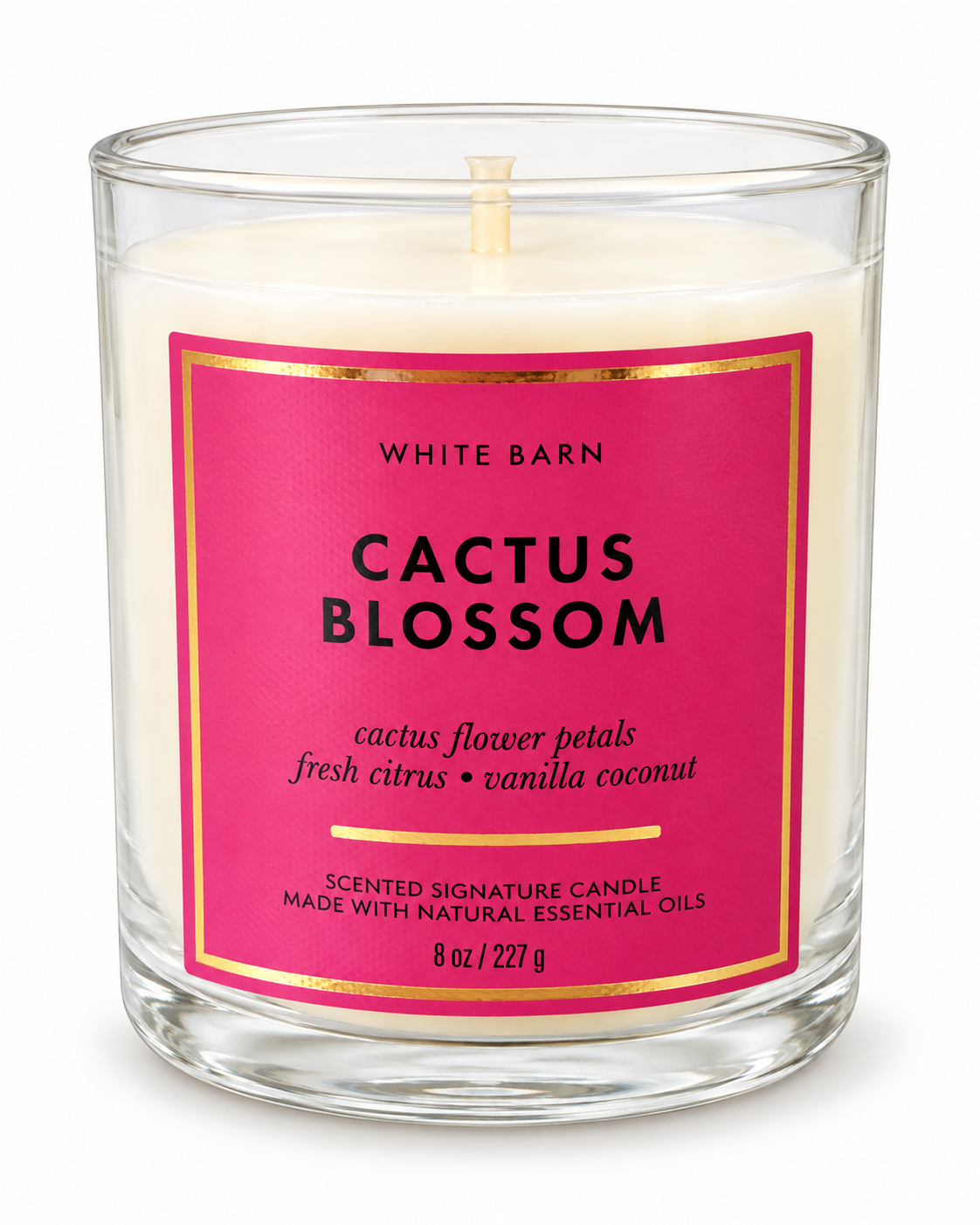 BATH AND BODY WORKS CANDLE CACTUS BLOSSOM