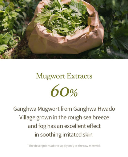 IM FROM MUGWORT GEL CLEANSER