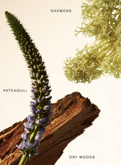 RARE BEAUTY BY SELENA GOMEZ FRAGRANCE LAYERING BALM - WOODY OAK