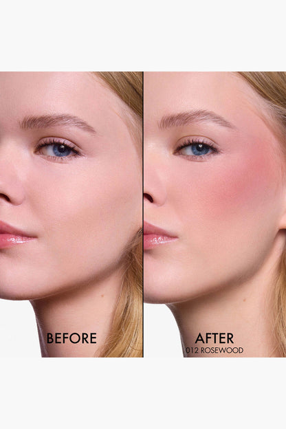 CHRISTIAN DIOR BACKSTAGE ROSY GLOW BLUSH (012-rosewood)