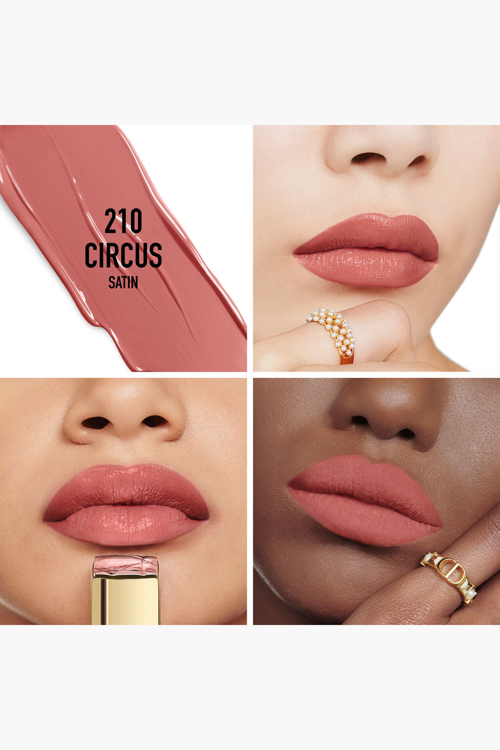 CHRISTIAN DIOR ROUGE DIOR LIMITED EDITION (210 CIRCUS SATIN)
