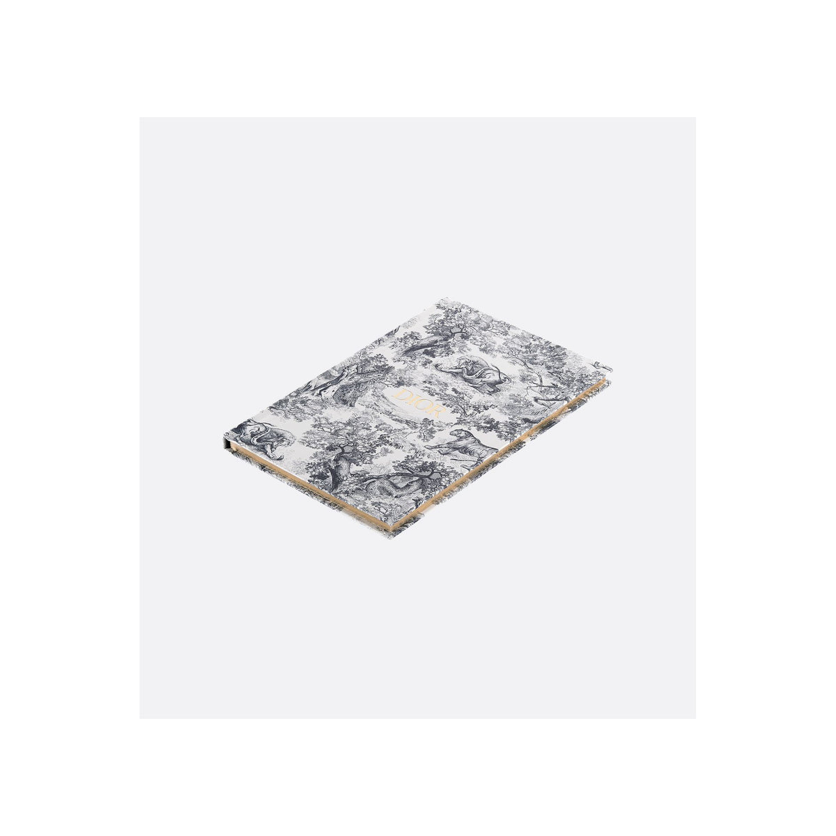 CHRISTIAN DIOR Notebook Blue Toile de Jouy — view 2
