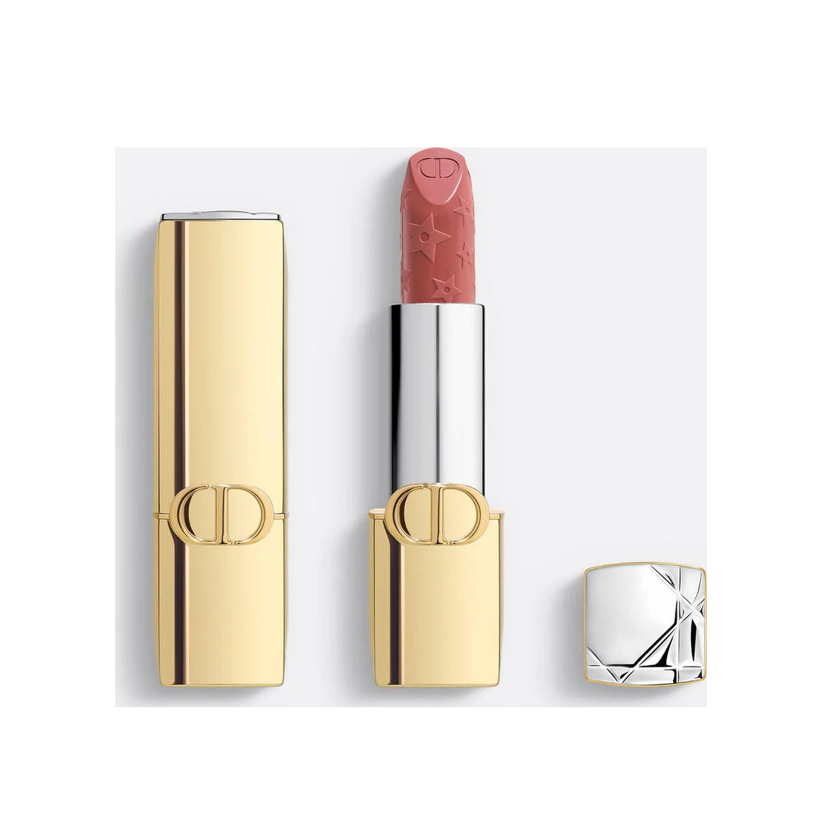 CHRISTIAN DIOR Rouge Dior Limited Edition — 210 Circus Satin