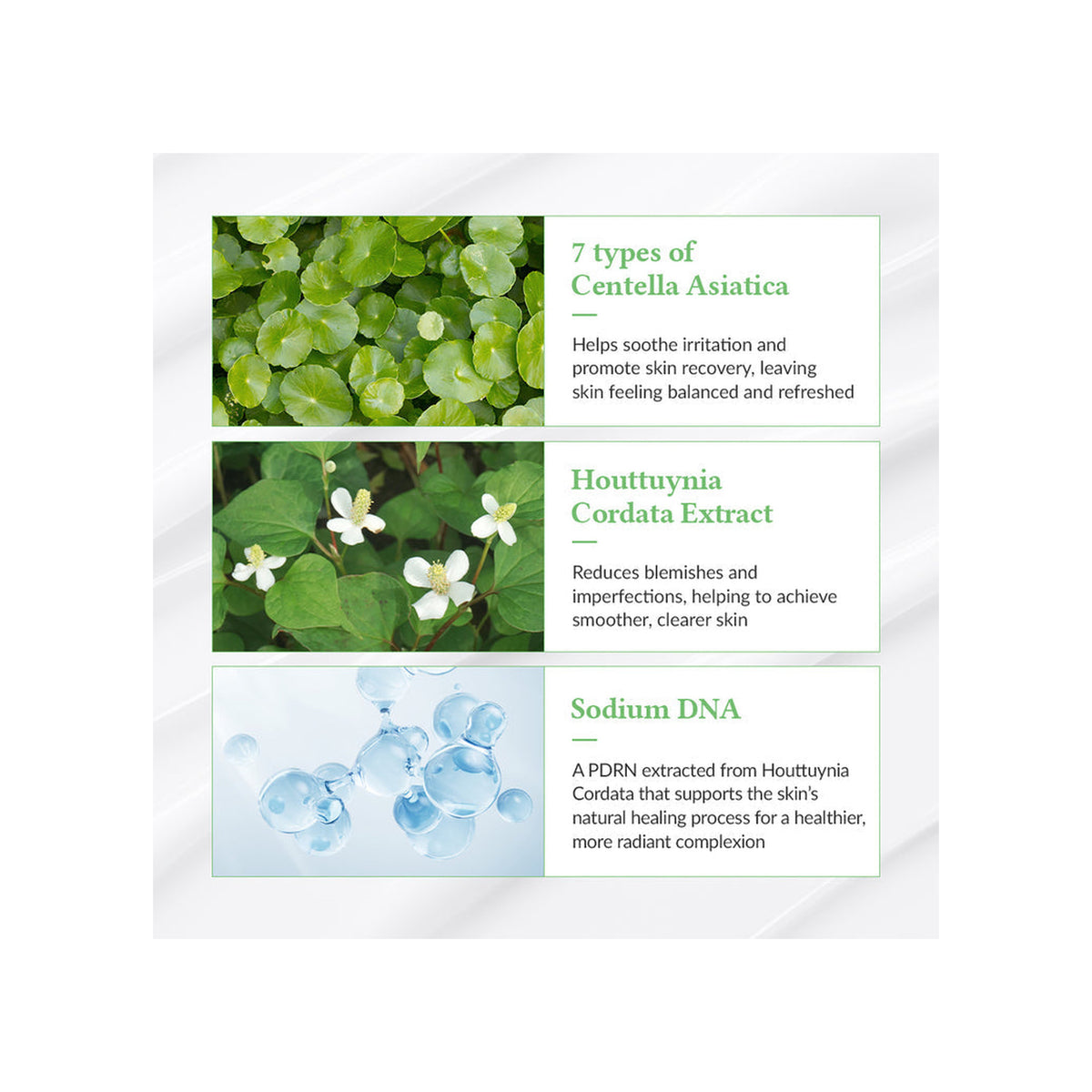 DR.ALTHEA Dr.Althea Green Tea Fresh Sunscreen — view 5
